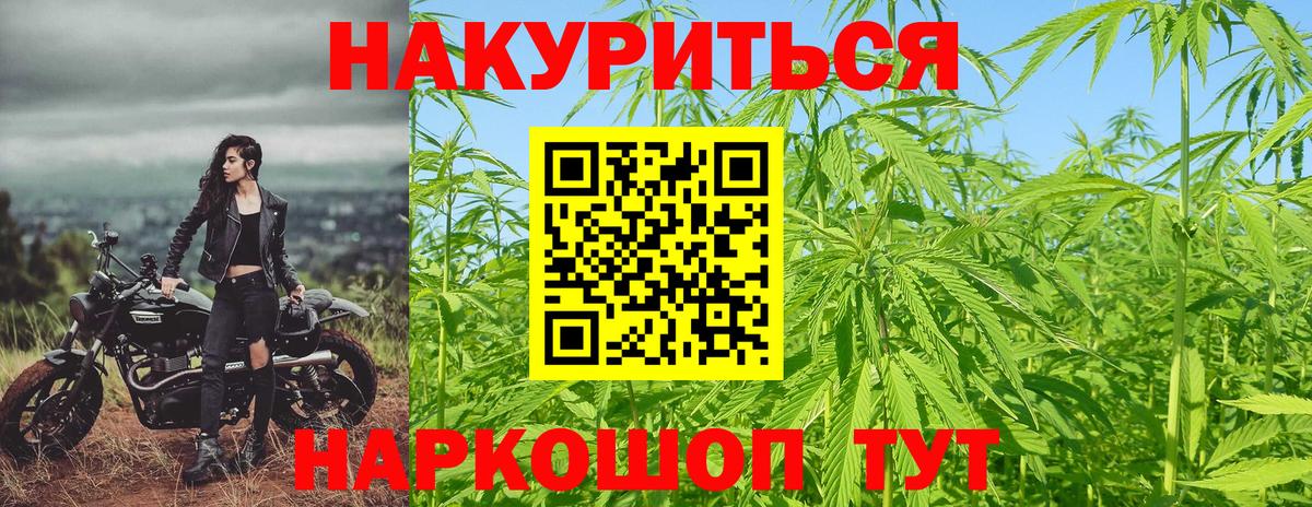 Марихуана конопля Благодарный